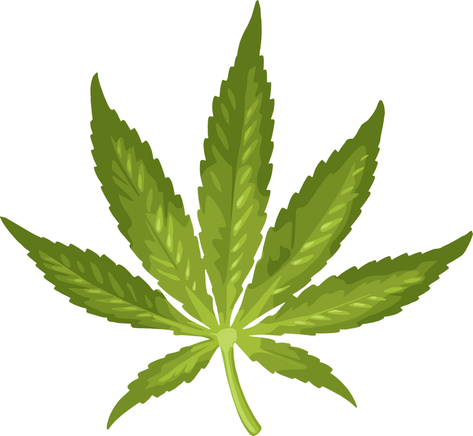 Marijuana Leaf Illustration