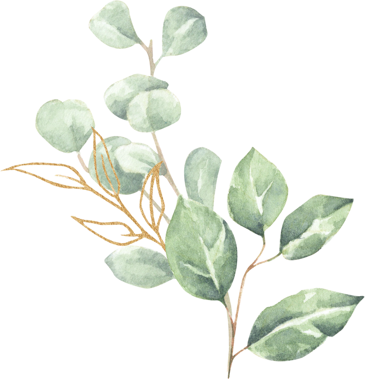 Illustration of Leaves